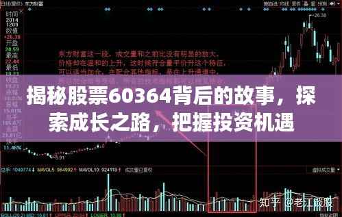 揭秘股票60364背后的故事,探索成长之路,把握投资机遇