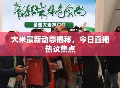 大米最新动态揭秘,今日直播热议焦点