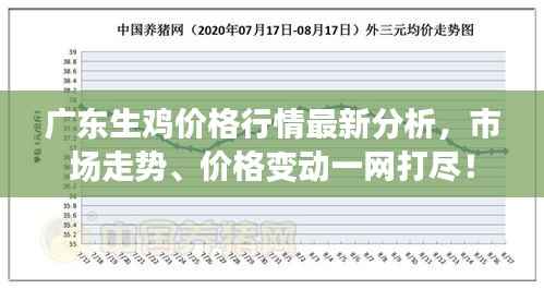 广东生鸡价格行情最新分析，市场走势、价格变动一网打尽！