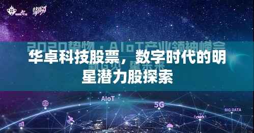华卓科技股票,数字时代的明星潜力股探索