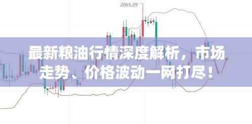 天荒地老 第2页