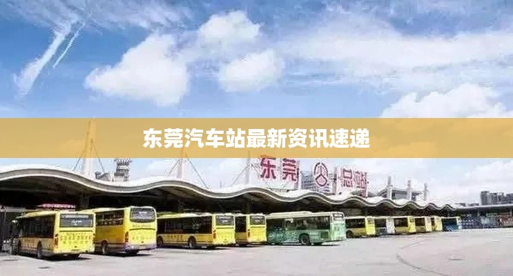 东莞汽车站最新资讯速递