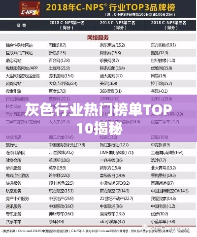 灰色行业热门榜单TOP10揭秘