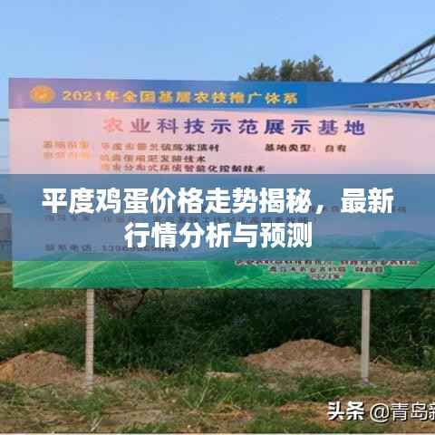 平度鸡蛋价格走势揭秘,最新行情分析与预测