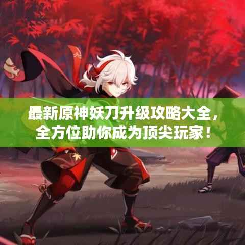最新原神妖刀升级攻略大全,全方位助你成为顶尖玩家!
