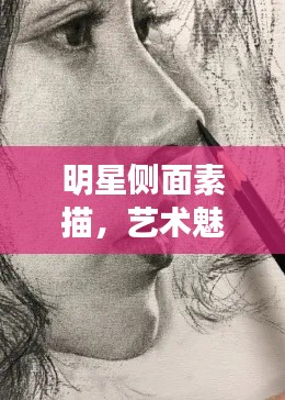 明星侧面素描,艺术魅力的独特展现