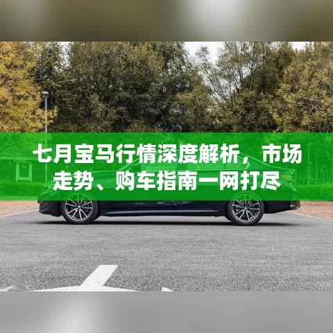 七月宝马行情深度解析,市场走势、购车指南一网打尽
