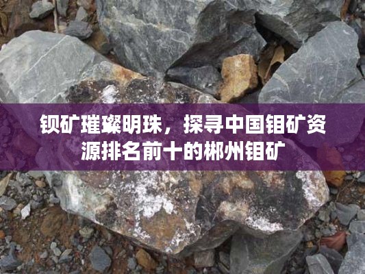 钡矿璀璨明珠,探寻中国钼矿资源排名前十的郴州钼矿