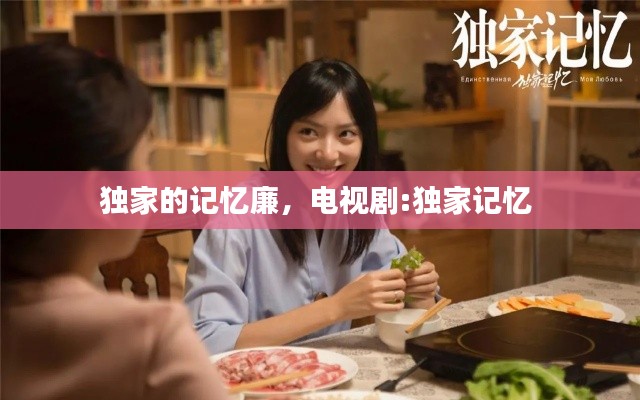 独家的记忆廉,电视剧:独家记忆