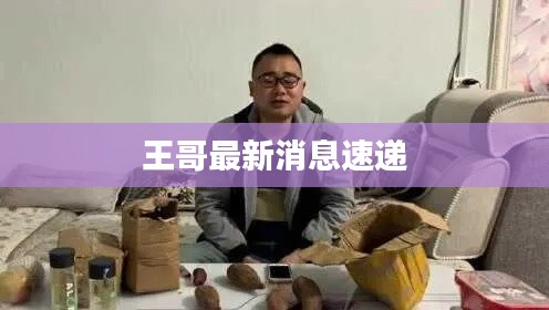 优秀课例 第207页