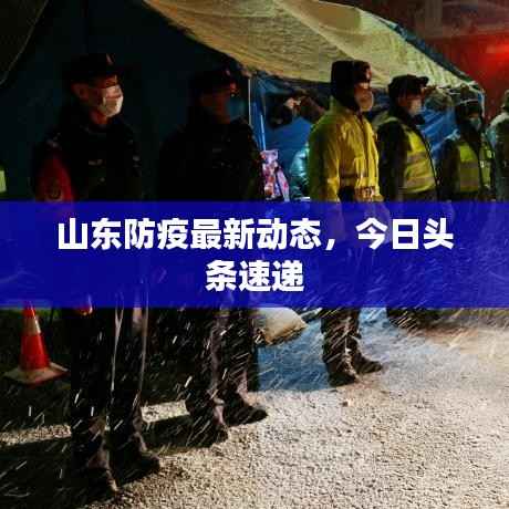 山东防疫最新动态,今日头条速递