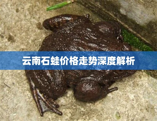 温柔敦厚 第2页