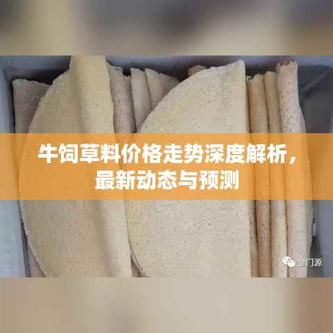 牛饲草料价格走势深度解析,最新动态与预测
