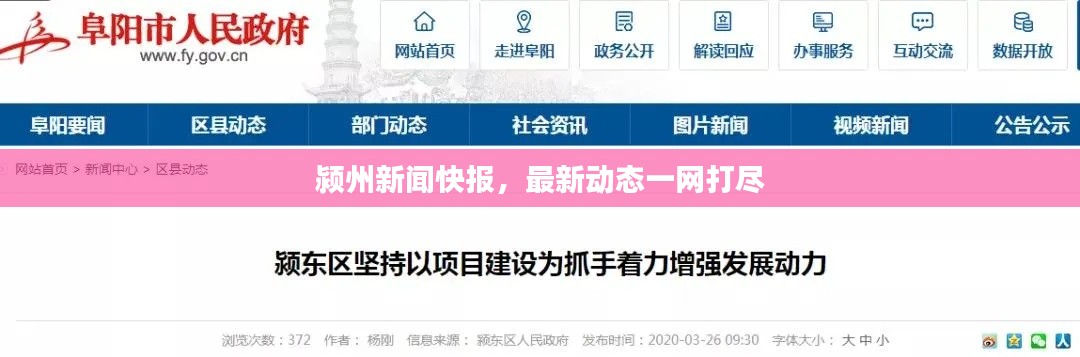 颍州新闻快报,最新动态一网打尽