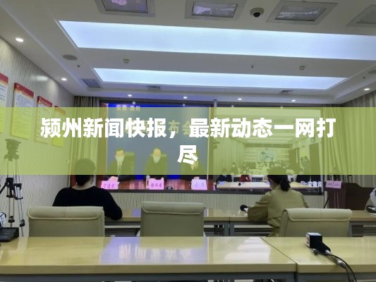 颍州新闻快报,最新动态一网打尽