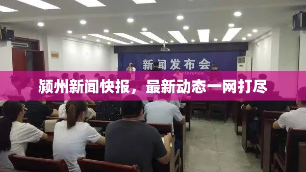 颍州新闻快报,最新动态一网打尽