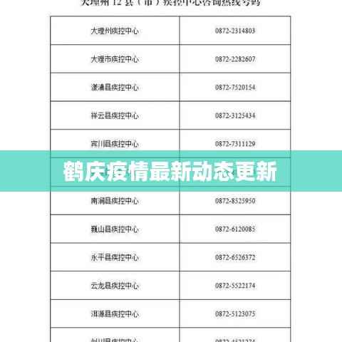 鹤庆疫情最新动态更新