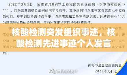 核酸检测突发组织事迹，核酸检测先进事迹个人发言稿 
