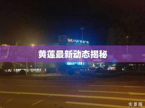 黄莲最新动态揭秘