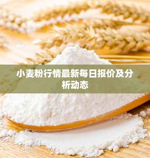 小麦粉行情最新每日报价及分析动态