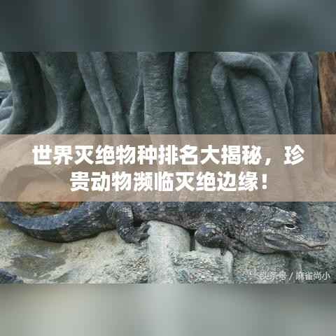世界灭绝物种排名大揭秘,珍贵动物濒临灭绝边缘!