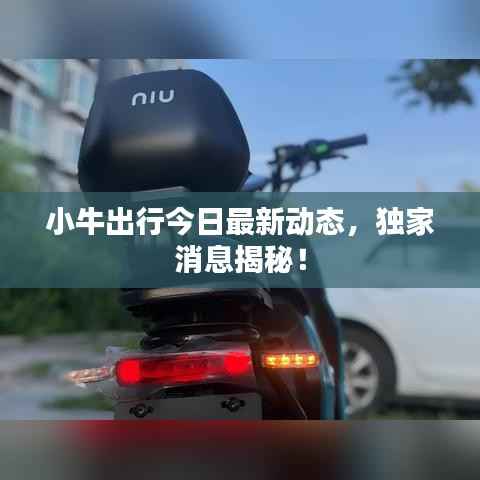 小牛出行今日最新动态,独家消息揭秘!