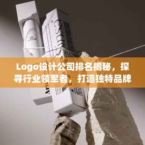 Logo设计公司排名揭秘,探寻行业领军者,打造独特品牌视觉识别!