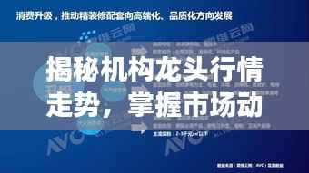 揭秘机构龙头行情走势,掌握市场动态,洞悉市场机遇!