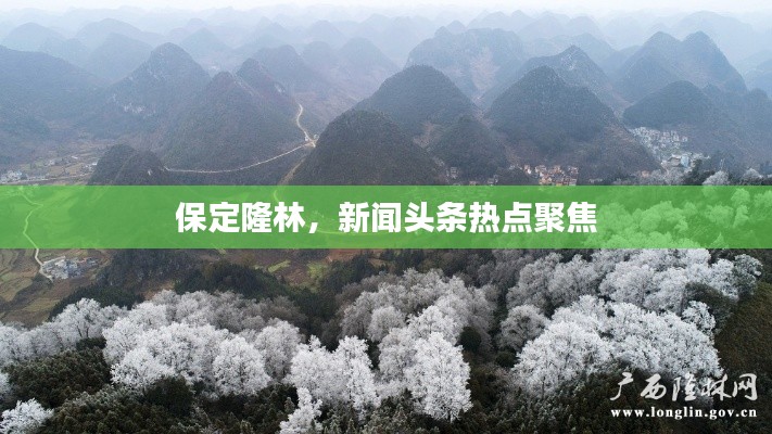 保定隆林,新闻头条热点聚焦