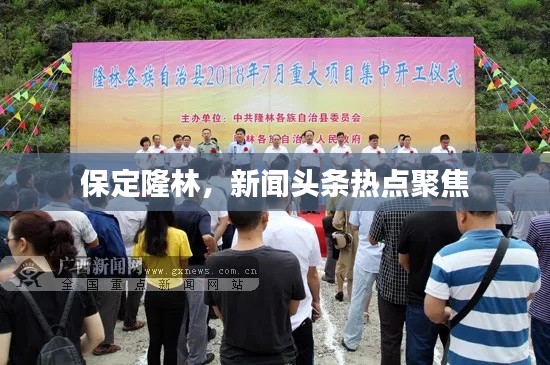 保定隆林,新闻头条热点聚焦