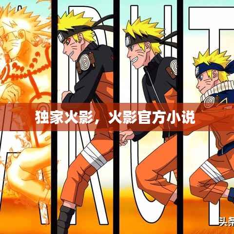 独家火影,火影官方小说