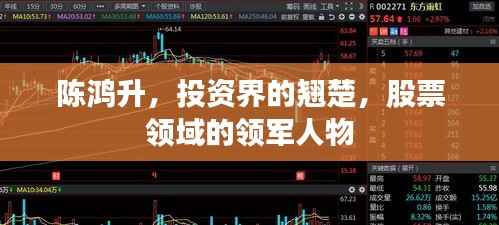 陈鸿升,投资界的翘楚,股票领域的领军人物