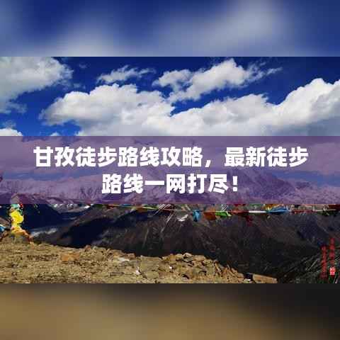 惊弦之鸟 第2页