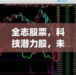 全志股票,科技潜力股,未来投资新方向!