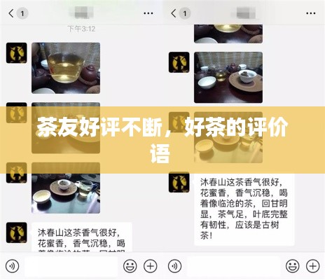 无冬无夏 第2页