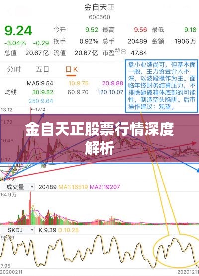 如翚斯飞 第2页