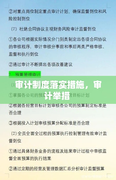 审计制度落实措施,审计举措