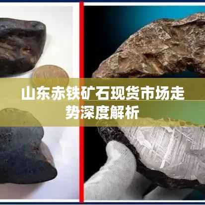 山东赤铁矿石现货市场走势深度解析