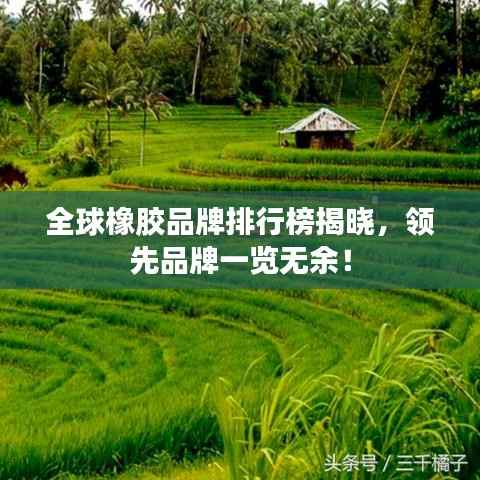 全球橡胶品牌排行榜揭晓,领先品牌一览无余!