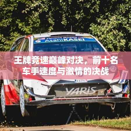 王牌竞速巅峰对决,前十名车手速度与激情的决战