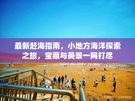 最新赶海指南,小地方海洋探索之旅,宝藏与美景一网打尽