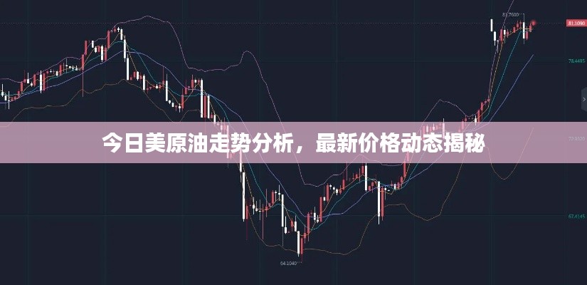 今日美原油走势分析,最新价格动态揭秘