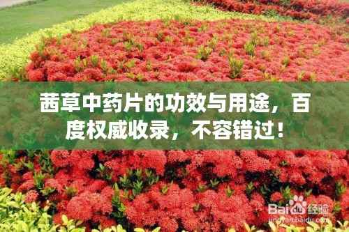 茜草中药片的功效与用途,百度权威收录,不容错过!