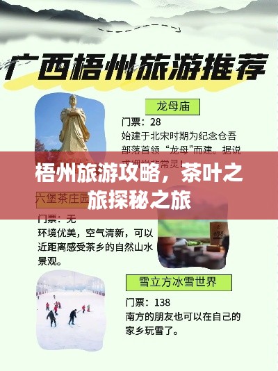 梧州旅游攻略，茶叶之旅探秘之旅