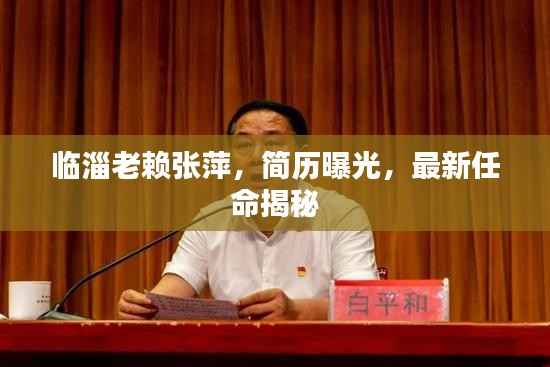 临淄老赖张萍，简历曝光，最新任命揭秘