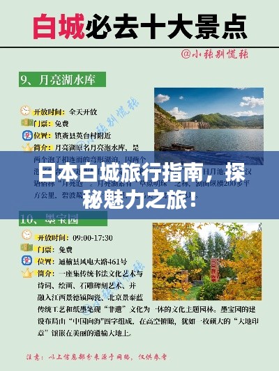日本白城旅行指南,探秘魅力之旅!