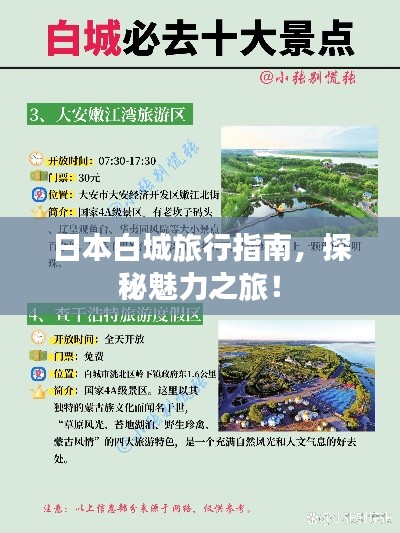 日本白城旅行指南,探秘魅力之旅!