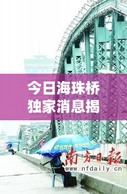 今日海珠桥独家消息揭秘