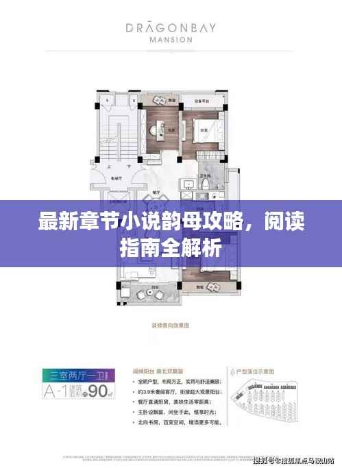最新章节小说韵母攻略，阅读指南全解析