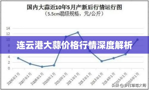 连云港大蒜价格行情深度解析